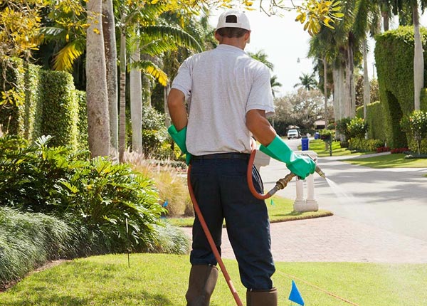About Elmhurst IL Pest Control Pros